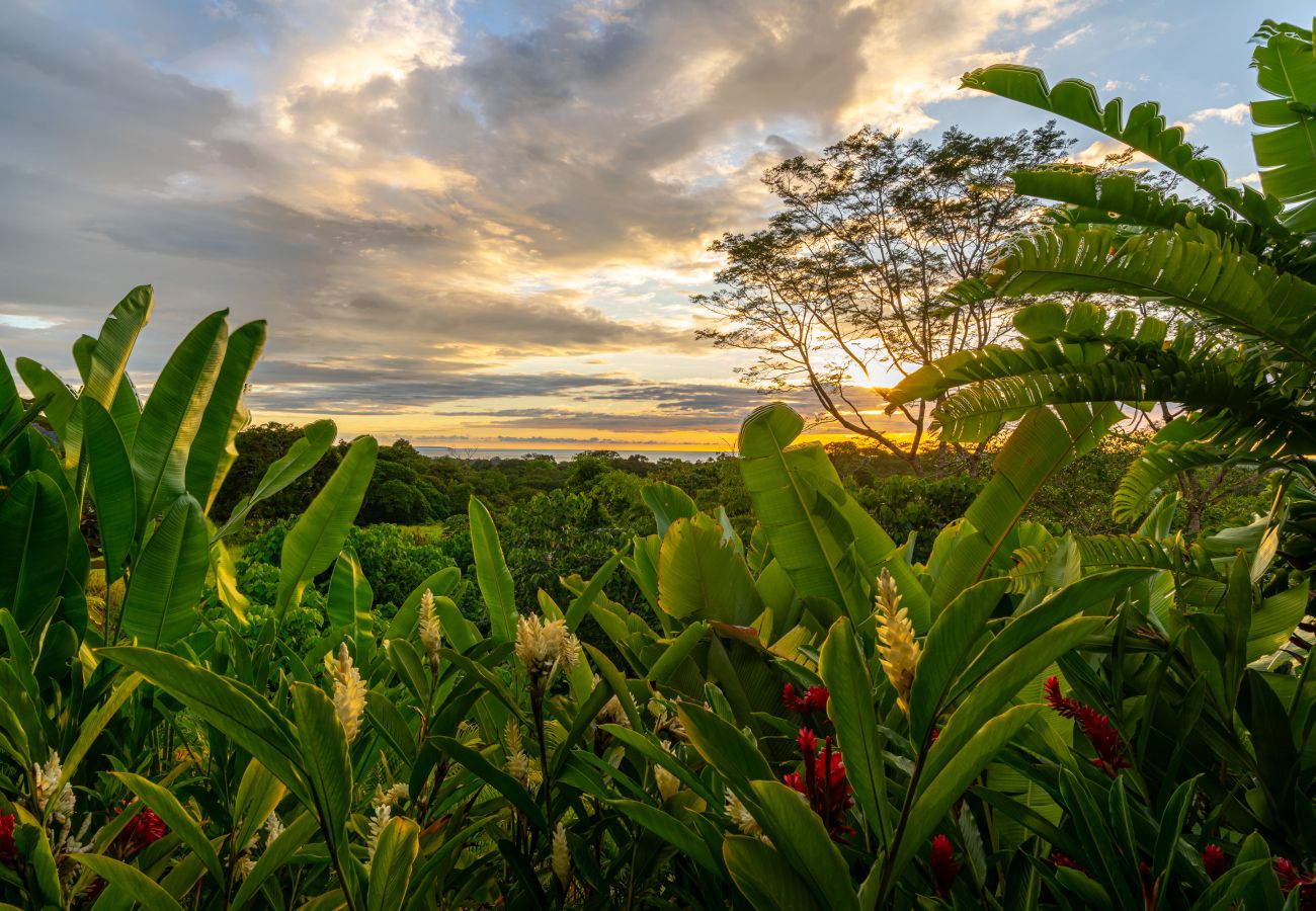Villa/Dettached house in Puerto Cortés - Oceanview Home & Guesthouse: Luxury in Costa Rica