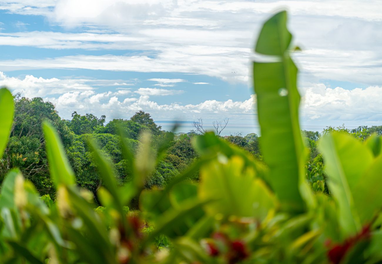 Villa/Dettached house in Puerto Cortés - Oceanview Home & Guesthouse: Luxury in Costa Rica