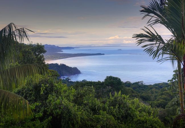 Villa in Uvita - Villa for 12 Guests: Best Whale's Tail and Ocean Views Villa in Uvita - Villa for 12 Guests: Best Whale's Tail and Ocean Views