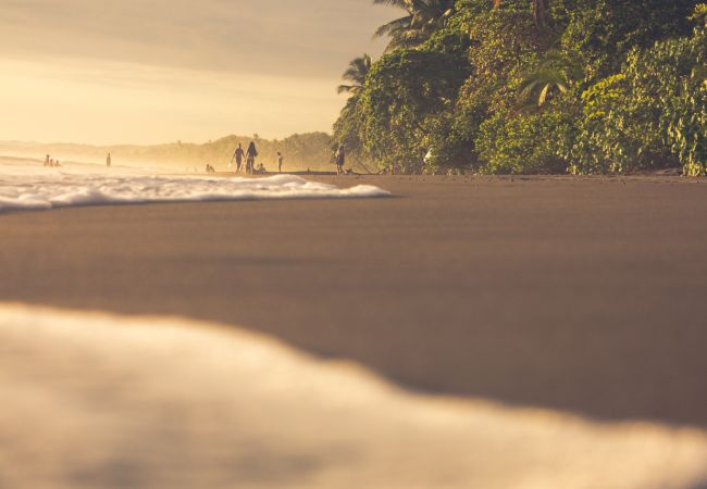 Villa in Bahía Ballena - Villa for 12 Guests: Best Whale's Tail and Ocean Views