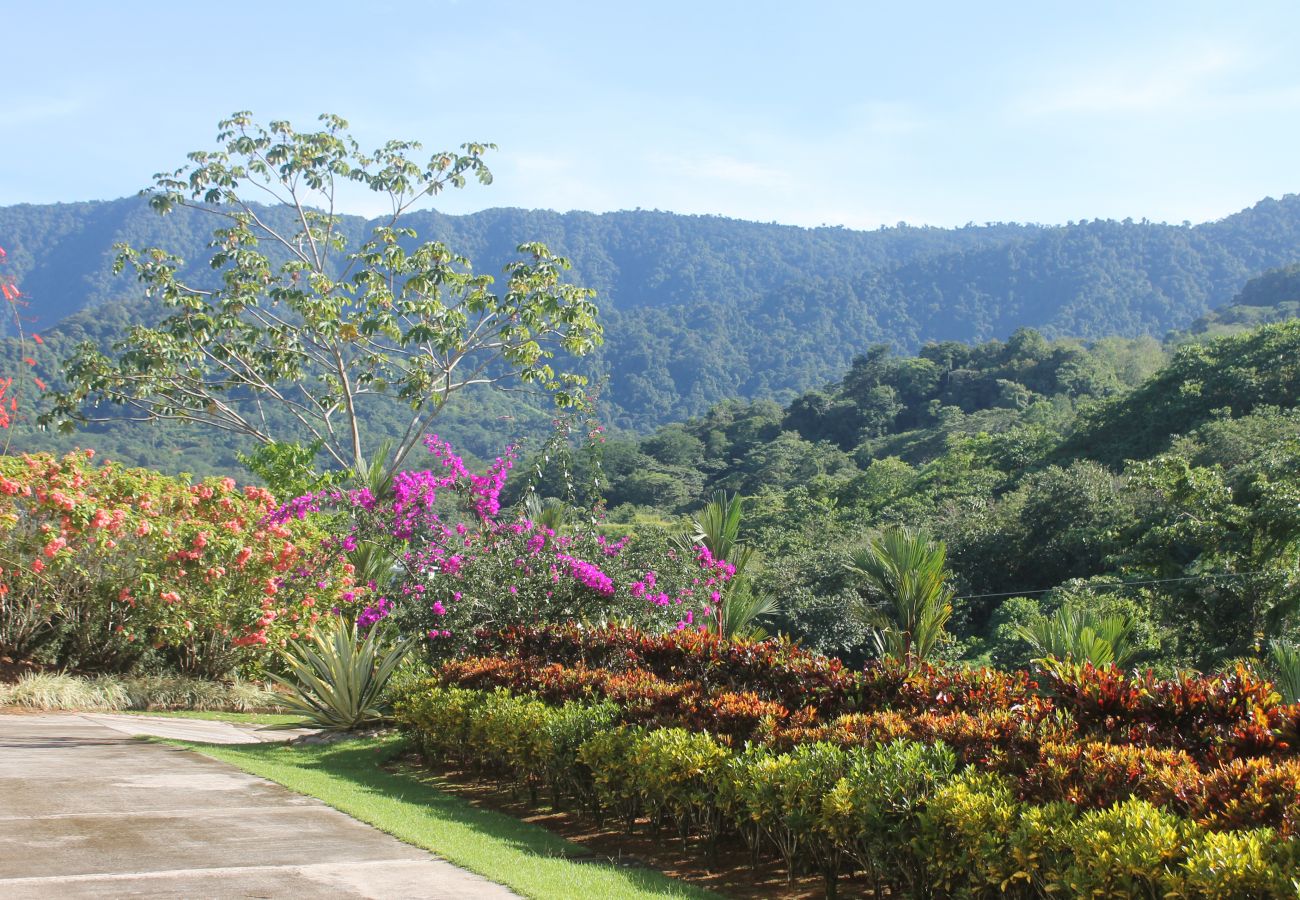 Villa in Bahía Ballena - Casa Hacienda Jaguar