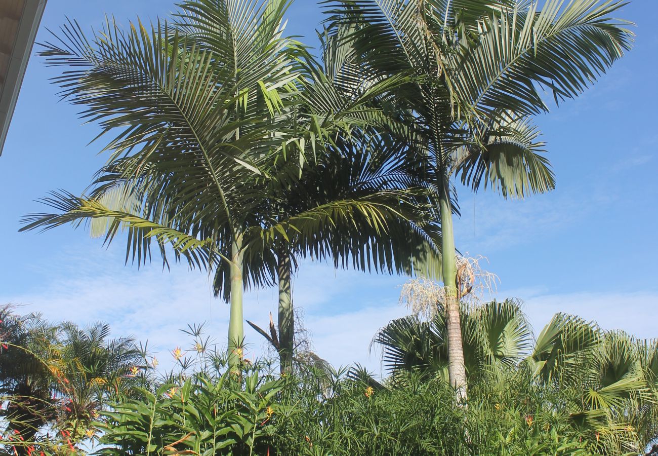 Villa in Bahía Ballena - Casa Hacienda Jaguar