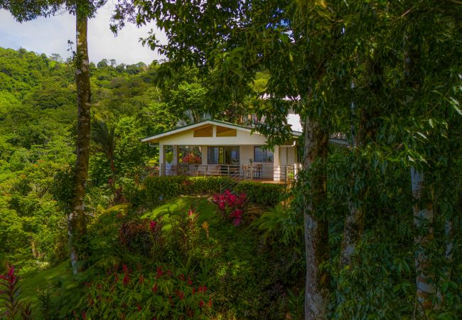 Villa in Dominical - Luxury Jungle Haven ~ Ocean View ~ Infinity Pool! Villa in Dominical - Luxury Jungle Haven ~ Ocean View ~ Infinity Pool!
