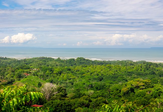 Villa in Ojochal - Unforgettable Stay - Book Brand New Villa Roca Villa in Ojochal - Unforgettable Stay - Book Brand New Villa Roca