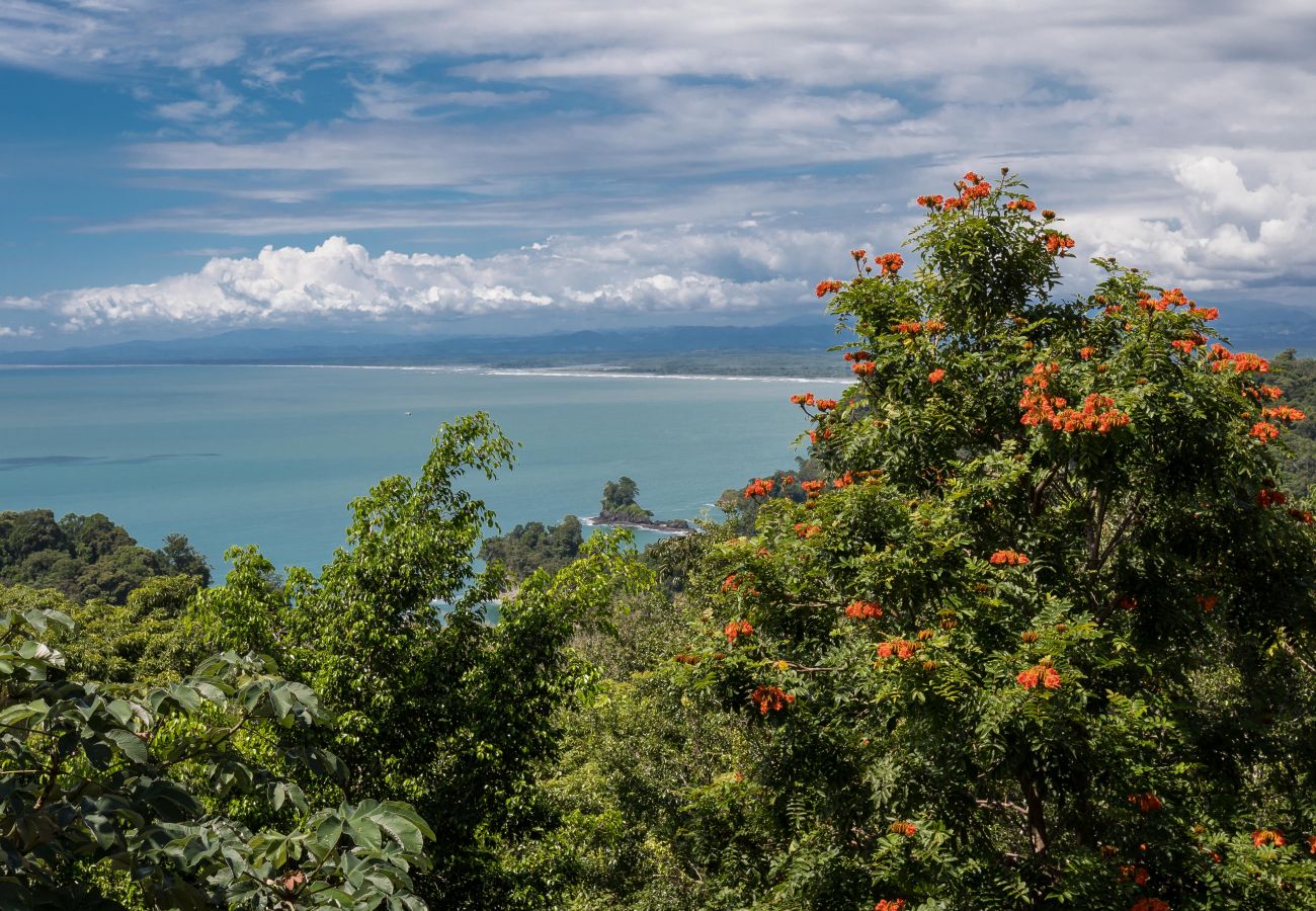 Condominium in Quepos - Luxury Ocean View Condo - Ultimate Convenience!