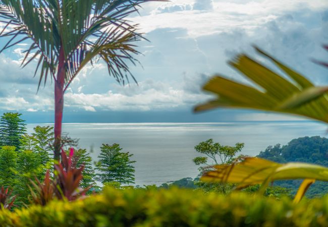 Villa in Dominical - Casa Frenchie: Luxury Oceanview Jungle Villa 12pp Villa in Dominical - Casa Frenchie: Luxury Oceanview Jungle Villa 12pp