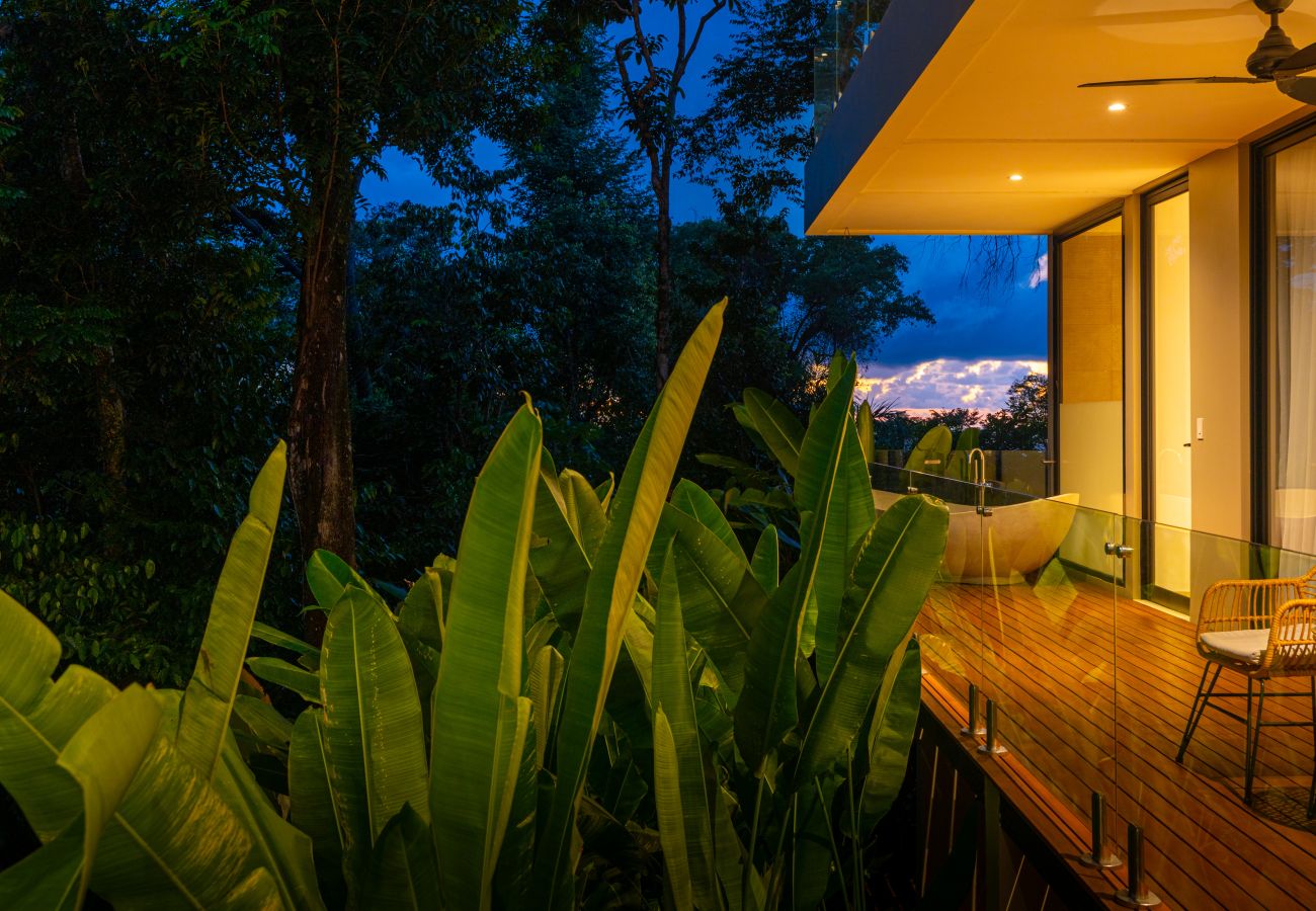 Outdoor terrace lit at night with tropical plants in the foreground