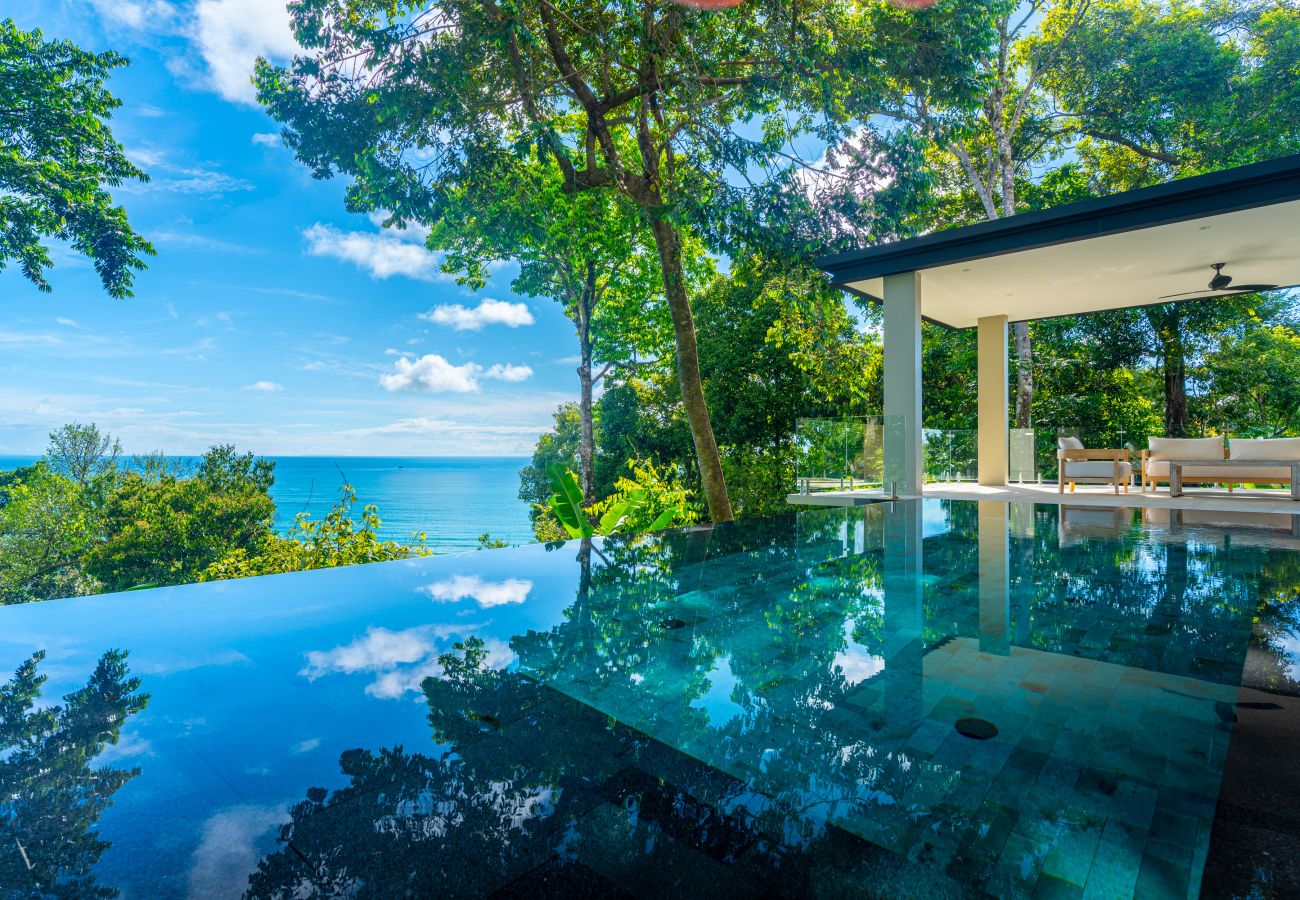 Infinity pool with ocean views surrounded by tropical forest