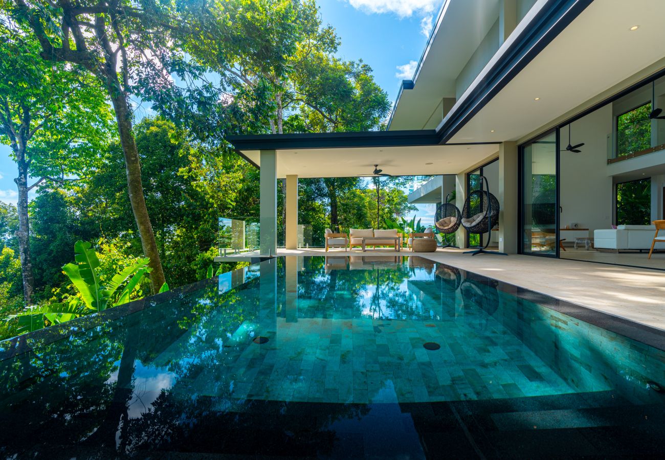Infinity pool surrounded by lush rainforest foliage