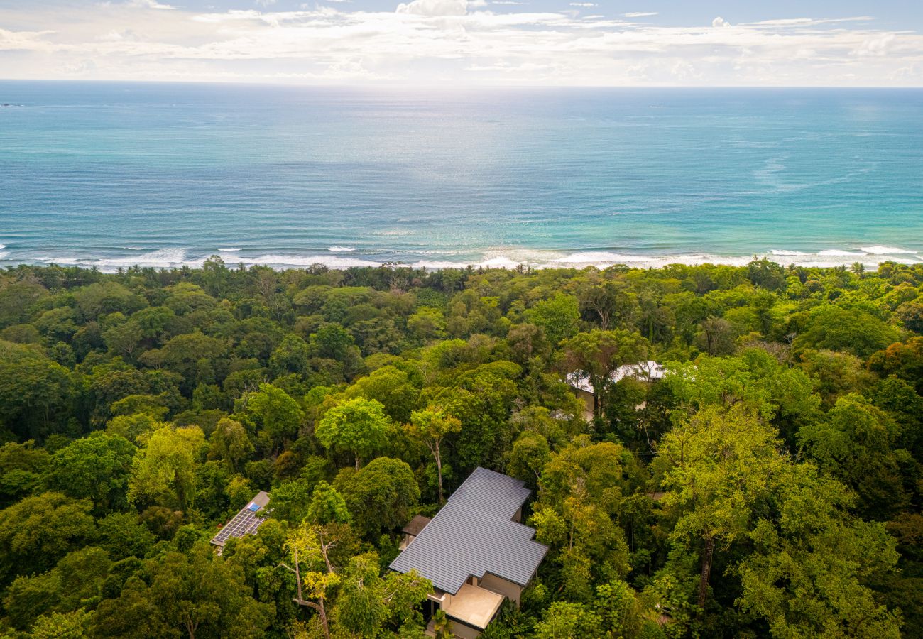 Aerial view of rainforest canopy with the Pacific Ocean in the distance