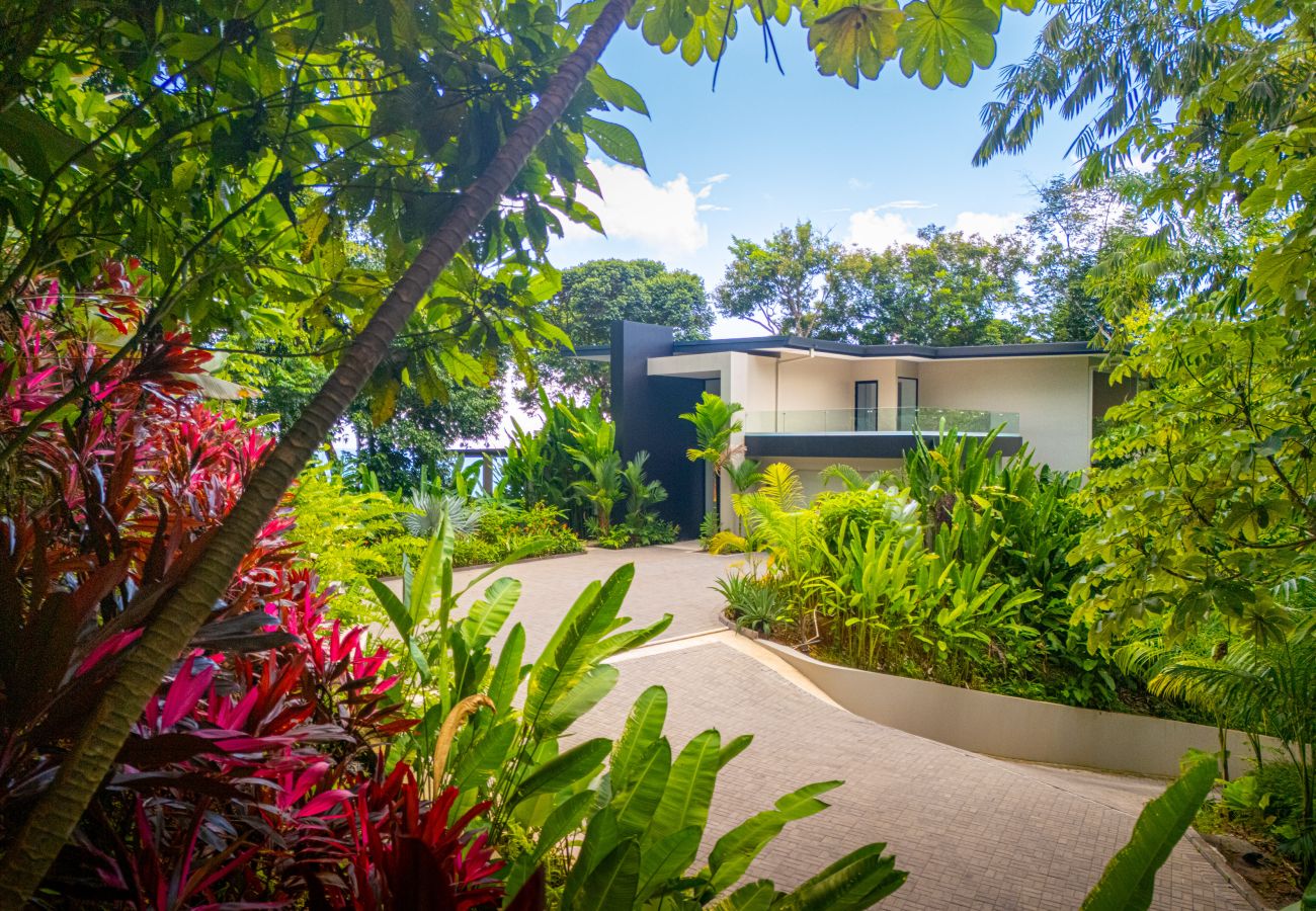Pathway leading through landscaped tropical garden to the villa