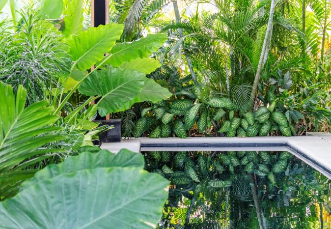 Villa in Santa Teresa - Casa Nalani – Luxury Villa with Semi-Olympic Saltwater Infinity Pool in Santa Teresa, Costa Rica Villa in Santa Teresa - Casa Nalani – Luxury Villa with Semi-Olympic Saltwater Infinity Pool in Santa Teresa, Costa Rica