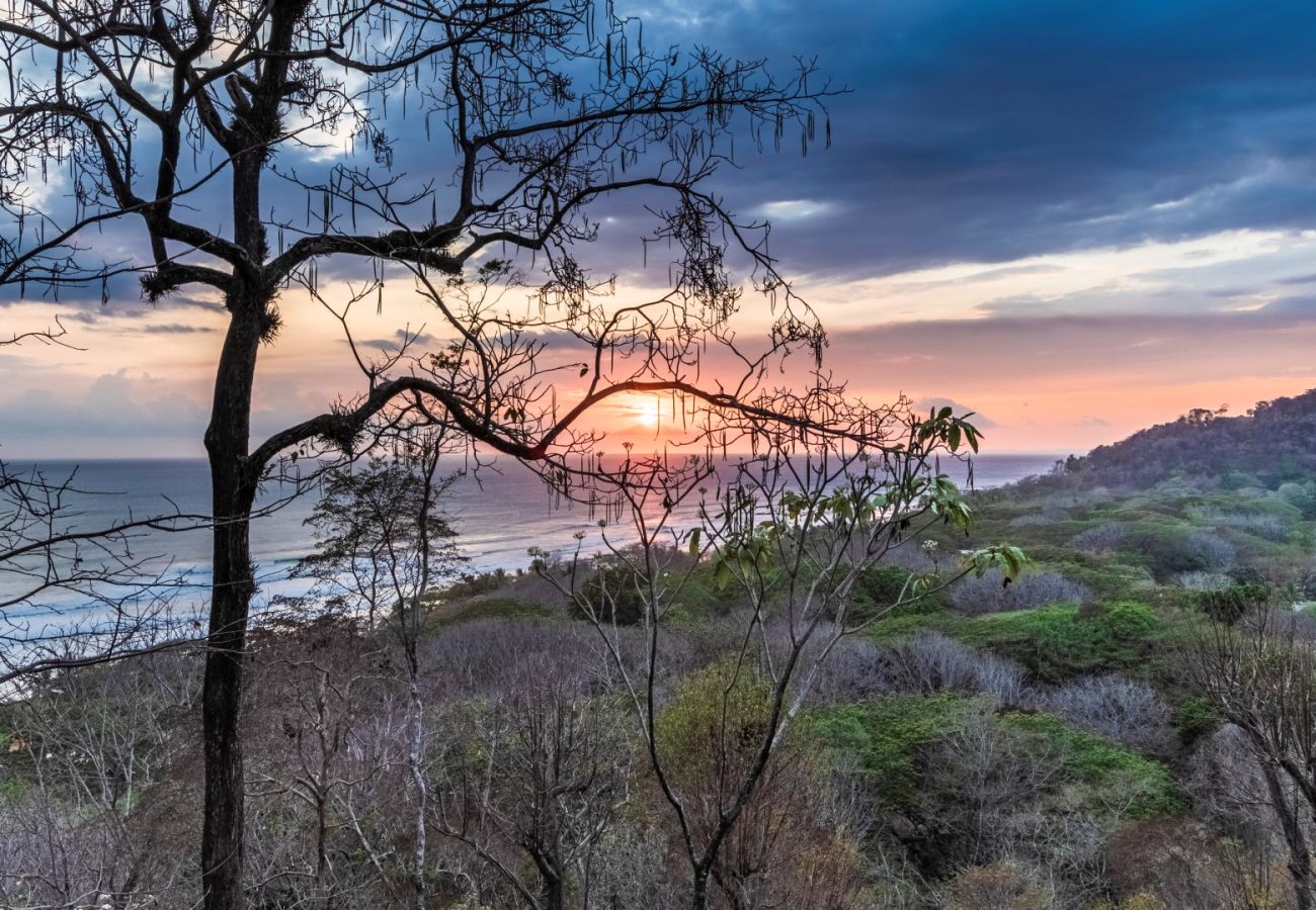 Villa in Santa Teresa - Casa Nalani – Luxury Villa with Semi-Olympic Saltwater Infinity Pool in Santa Teresa, Costa Rica