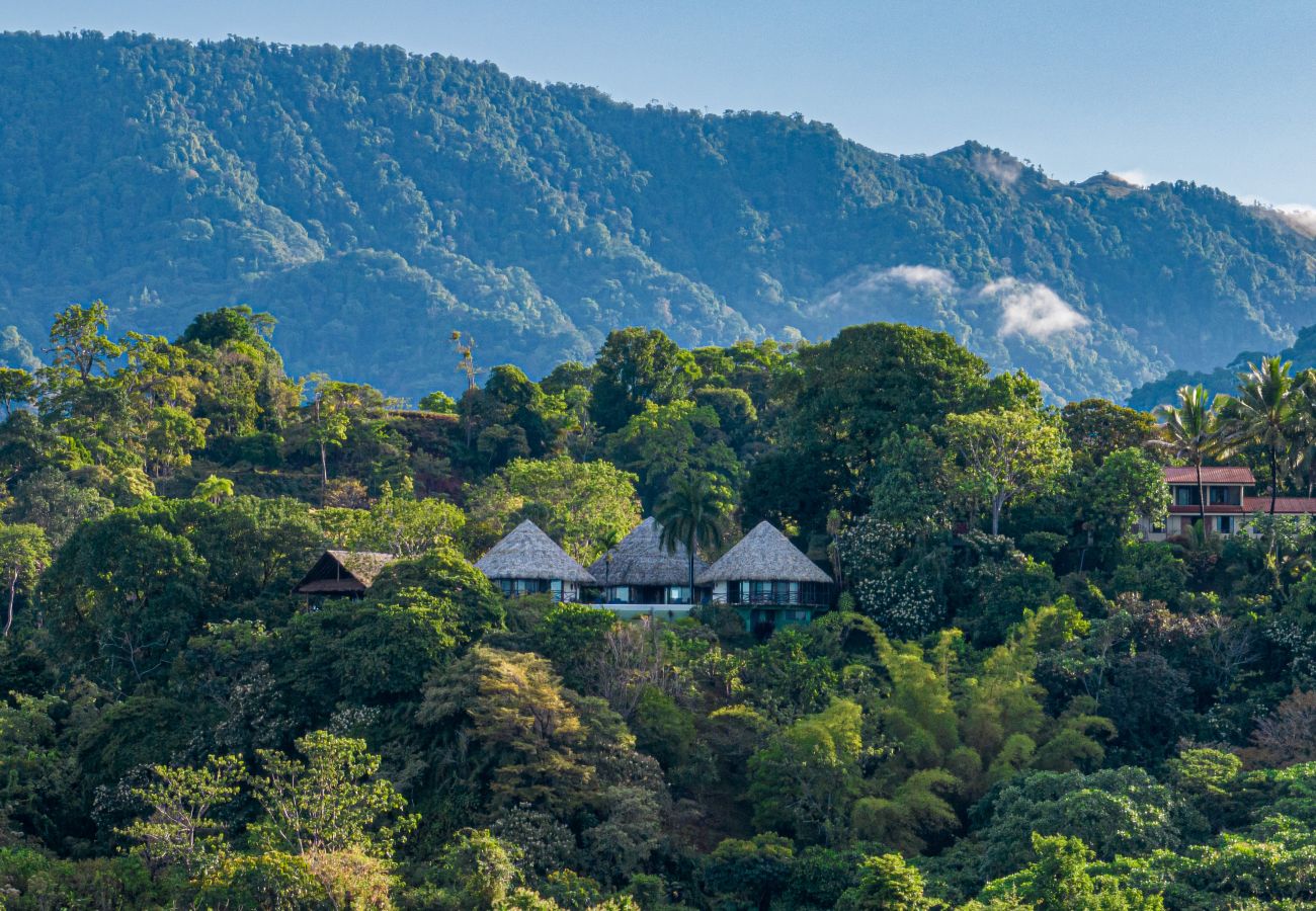 Bungalow in Tres Rios - Authentic Jungle & Ocean Escape by Pura Villas