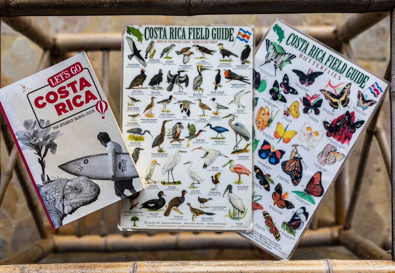 Bungalow in Tres Rios - Authentic Jungle & Ocean Escape by Pura Villas