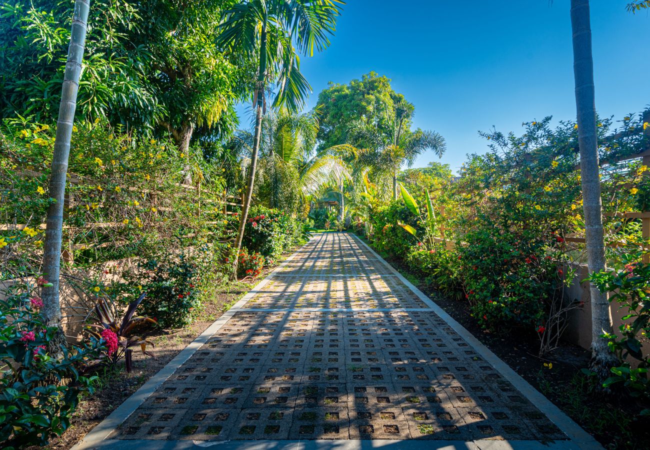 Villa in Parrita - Casa Assinie Beachfront Home with Private Ocean Access