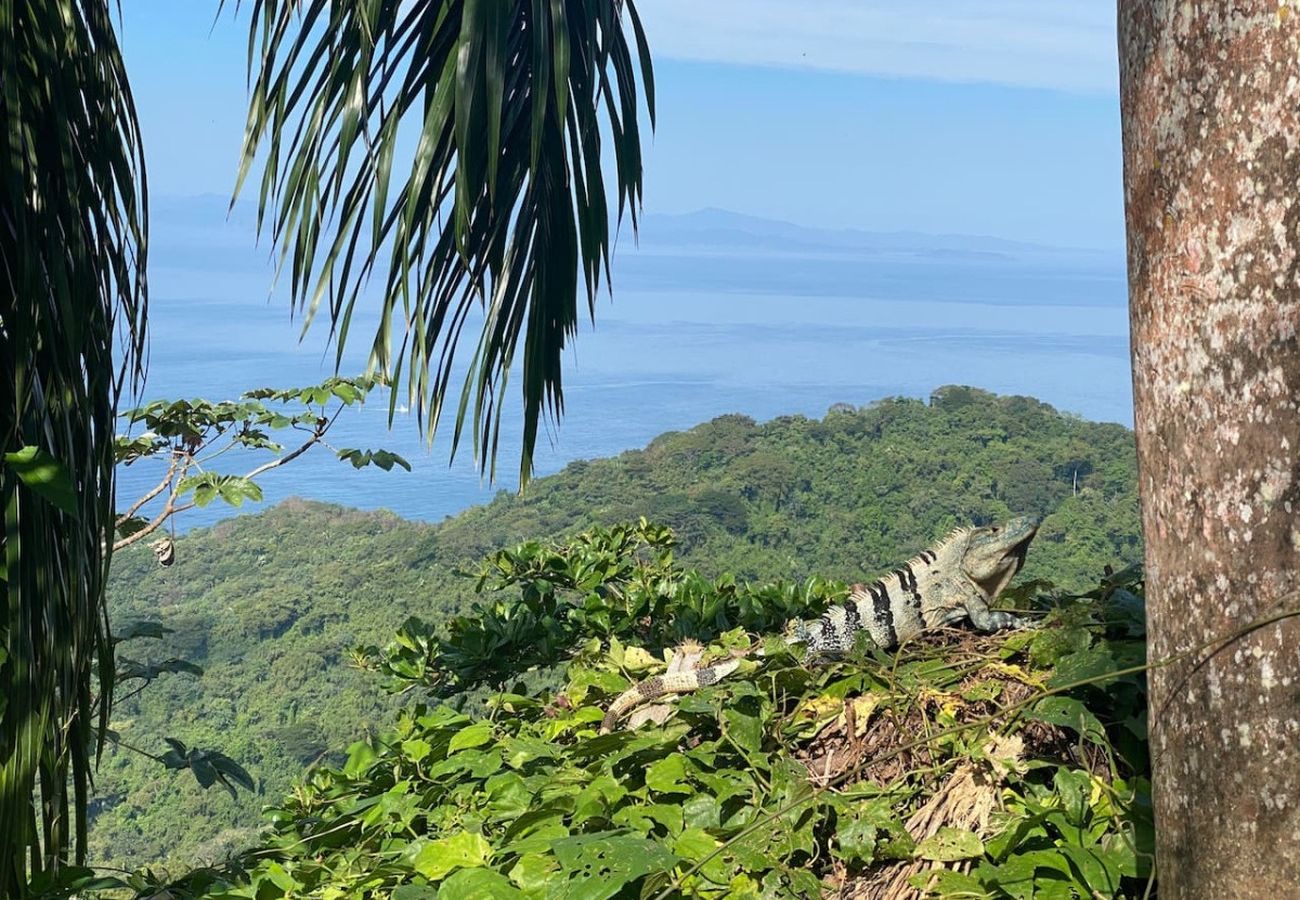 Villa in Uvita - Beauty of Costa Rica by Pura Villas